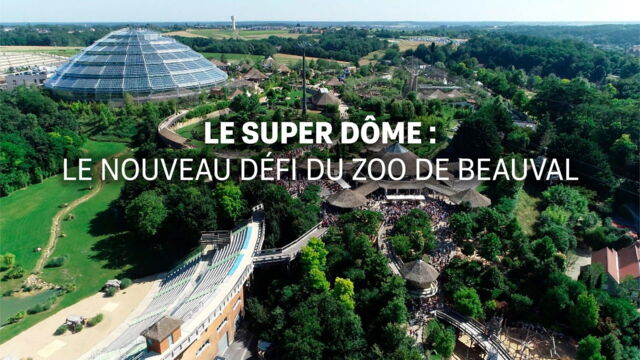Vignette du programme télé Le super dôme : le nouveau défi du zoo de Beauval