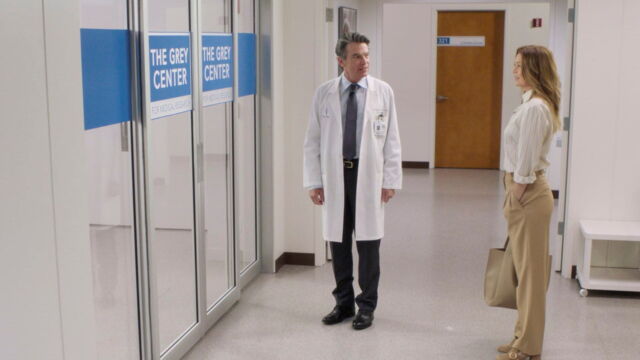 Vignette du programme télé Grey's Anatomy