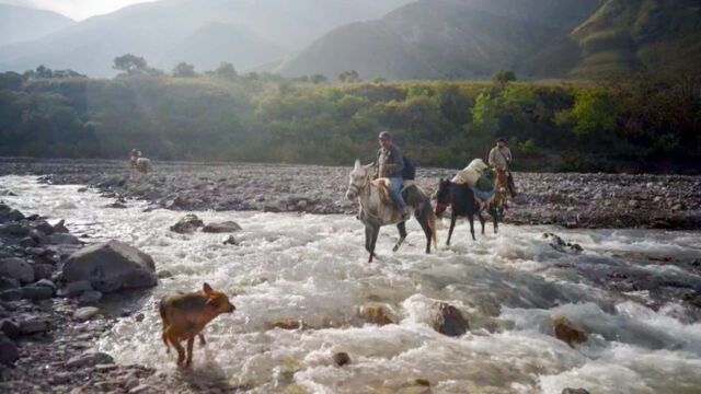 Vignette du programme télé Argentine, le médecin des montagnes
