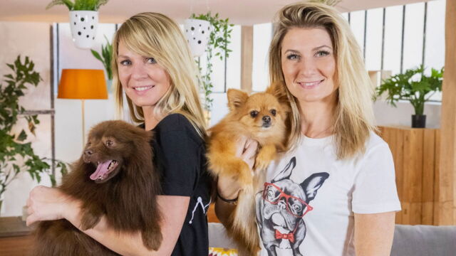 Vignette du programme télé Animaux à adopter : nouvelle famille pour une nouvelle vie