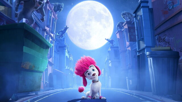 Vignette du programme télé 100% loup