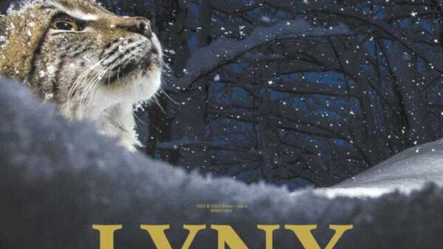 Vignette du programme télé Lynx