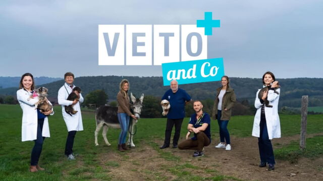 Vignette du programme télé Véto & Co