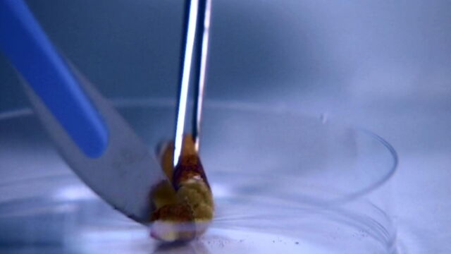 Vignette du programme télé Faites entrer l'accusé