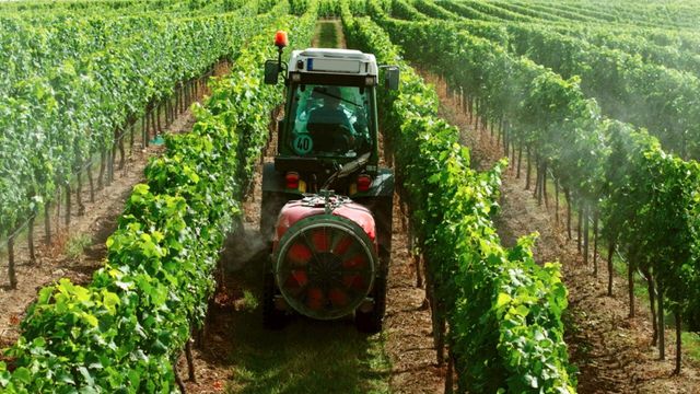 Vignette du programme télé Le vin bio, vraiment bio ?