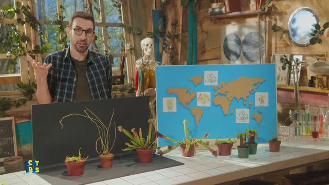 Vignette du programme télé C'est toujours pas sorcier