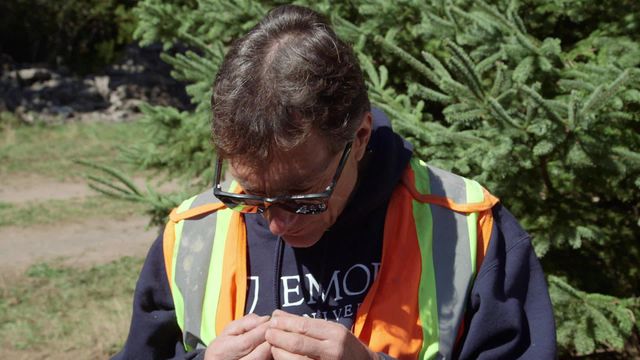 Vignette du programme télé Le mystère d'Oak Island - Saison 4