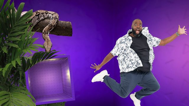 Vignette du programme télé Les 100 vidéos qui ont fait rire le monde entier