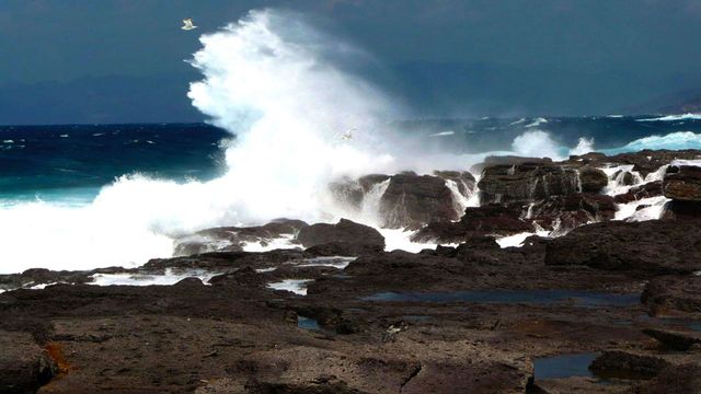 Vignette du programme télé La valse des continents - Saison 1
