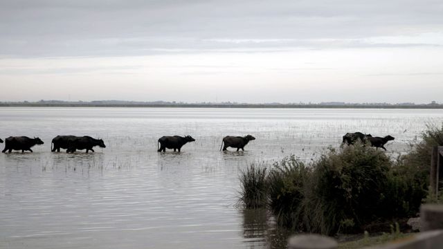 Vignette du programme télé La côte turque de la mer Noire