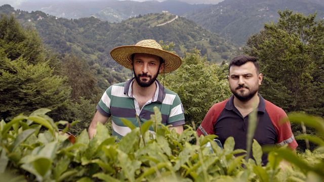 Vignette du programme télé La côte turque de la mer Noire