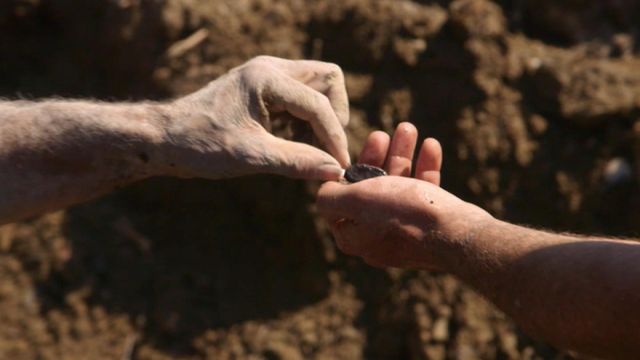 Vignette du programme télé Le mystère d'Oak Island - Saison 5