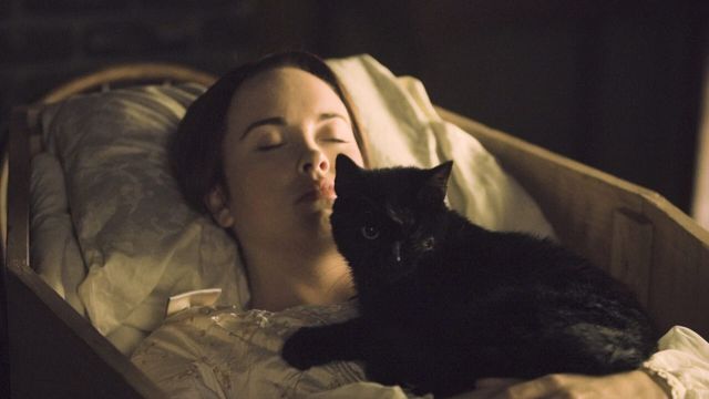 Vignette du programme télé Masters of Horror - Saison 2