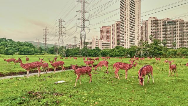 Vignette du programme télé Un écrin de nature - Saison 1