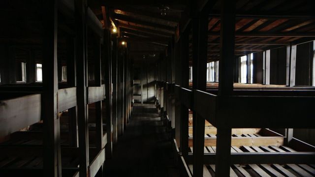 Vignette du programme télé Hitler, le système de la terreur