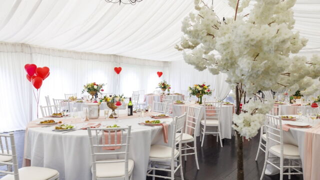 Vignette du programme télé Les Capone se marient