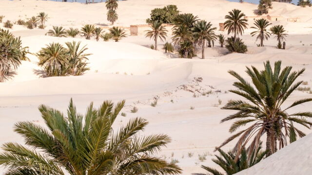 Vignette du programme télé Pays et marchés du monde