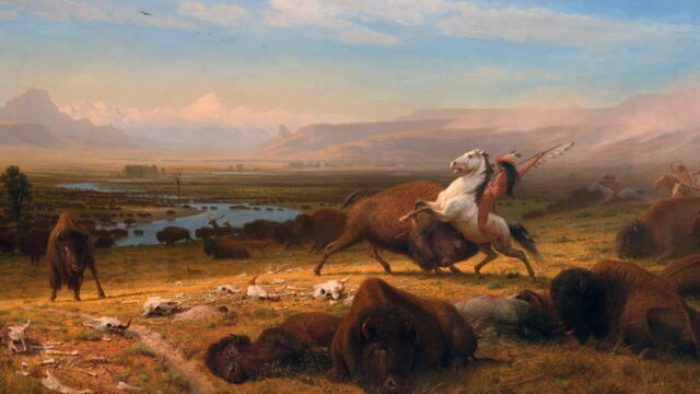 Vignette du programme télé Bison : une histoire de l'Amérique