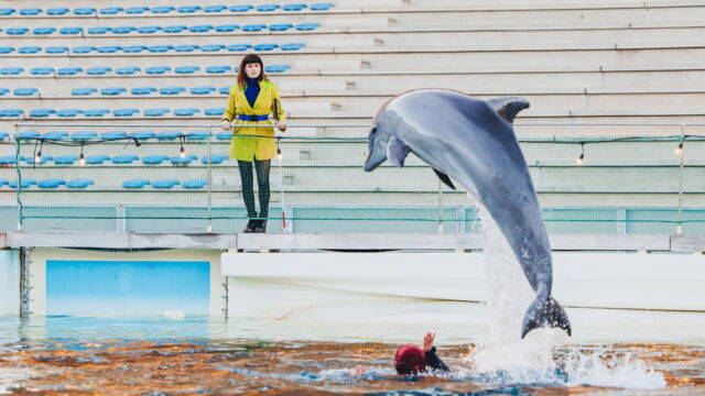 Vignette du programme télé Blanca