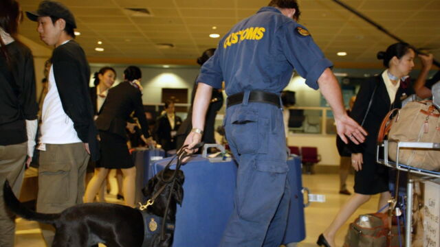 Vignette du programme télé Douanes sous haute surveillance