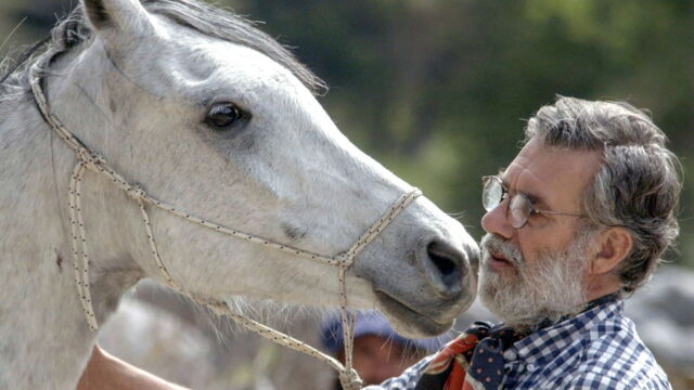 Vignette du programme télé Oscar ou l'art d'apprivoiser les chevaux