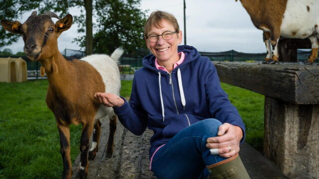 Vignette du programme télé Dr Cath : Mission adoption