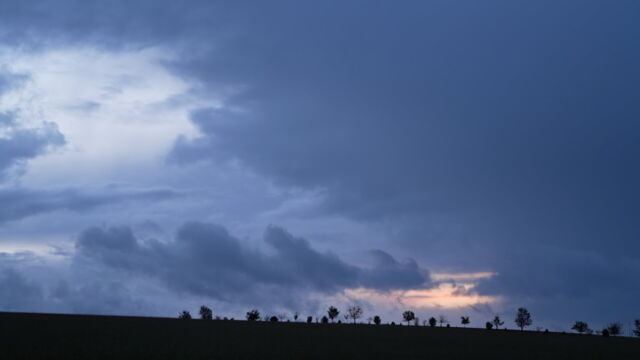 Vignette du programme télé Le village qui voulait replanter des arbres