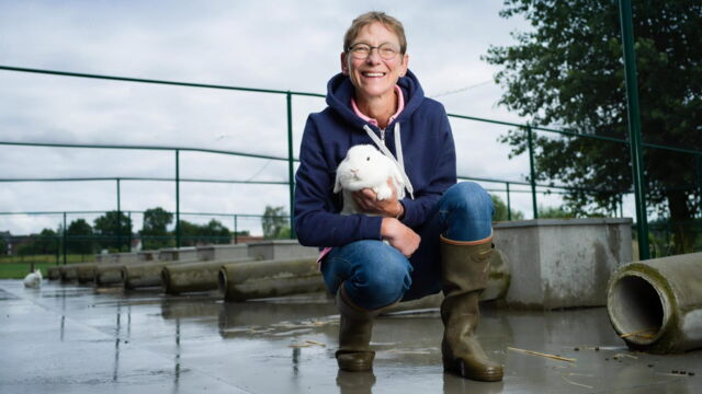 Vignette du programme télé Dr Cath : Mission adoption