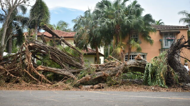 Vignette du programme télé Nature meurtrière
