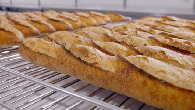 Vignette du programme télé Du pain coûte que croûte