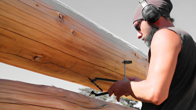 Vignette du programme télé Bûcheron : un métier à hauts risques