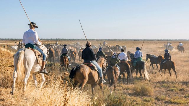 Vignette du programme télé Aventures hispaniques - Saison 1