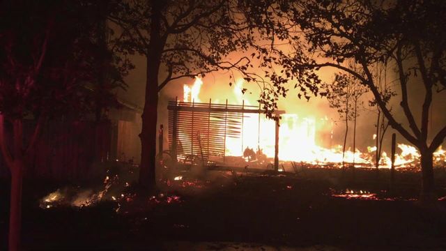 Vignette du programme télé Nature meurtrière - Saison 2