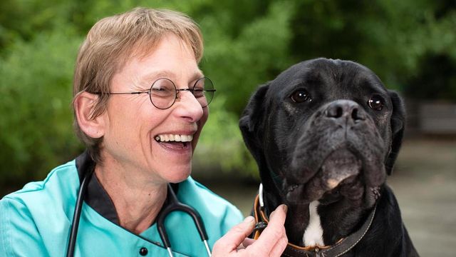 Vignette du programme télé Dr Cath & Co