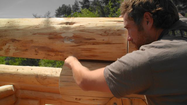 Vignette du programme télé Bûcheron : un métier à hauts risques - Saison 3