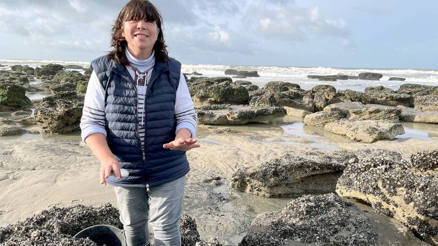 Vignette du programme télé La France côté Nord