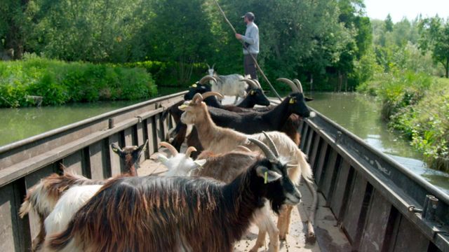 Vignette du programme télé La France côté Nord
