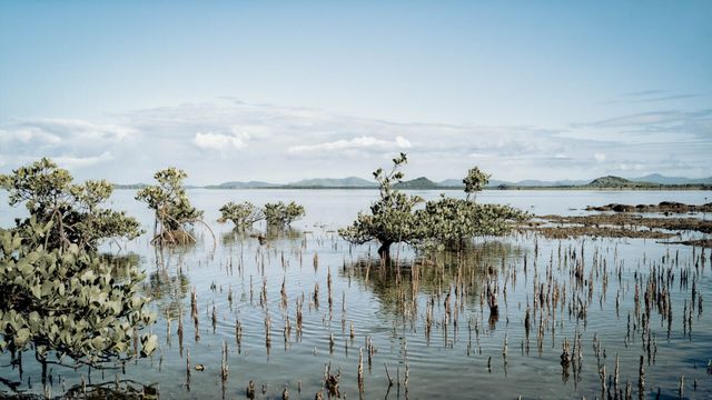 Vignette du programme télé Nouvelle-Calédonie, terres d'avenir