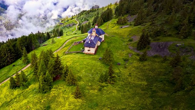 Vignette du programme télé Des racines et des ailes