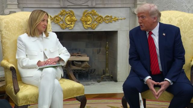 Vignette du programme télé Giorgia Meloni et le clan des Goélands