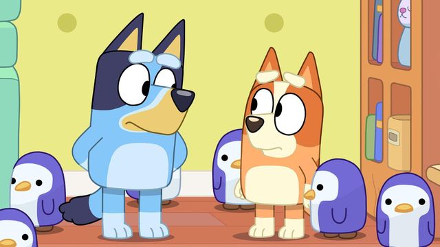 Vignette du programme télé Bluey - Saison 1