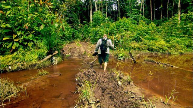 Vignette du programme télé Alaska : La ruée vers l'or - Saison 4