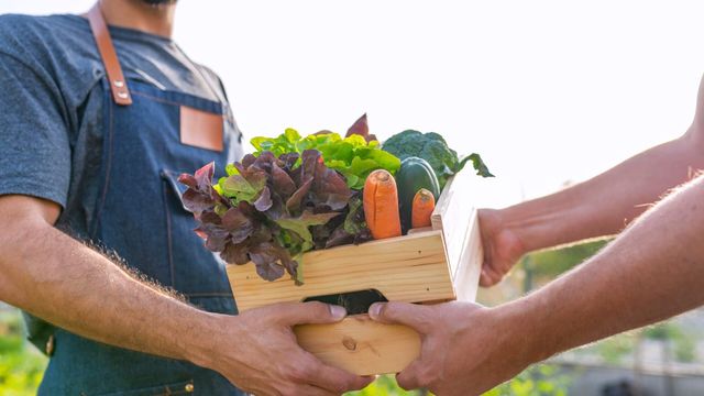 Vignette du programme télé Arnaques !