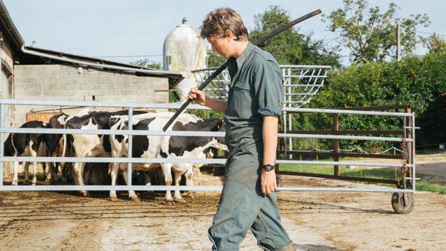 Vignette du programme télé Petit paysan