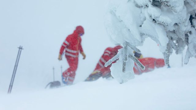 Vignette du programme télé Les pisteurs : Secours en montagne