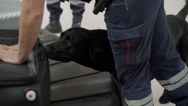 Vignette du programme télé Paris CDG : le plus grand aéroport d'Europe