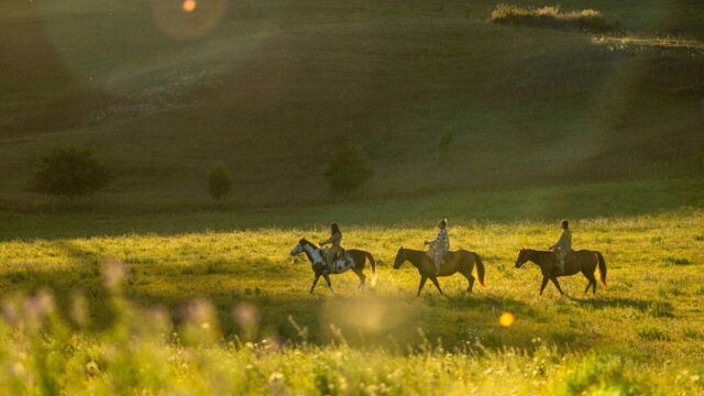 Vignette du programme télé Sitting Bull