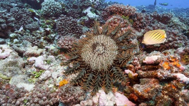 Vignette du programme télé Un écrin de nature - Saison 1