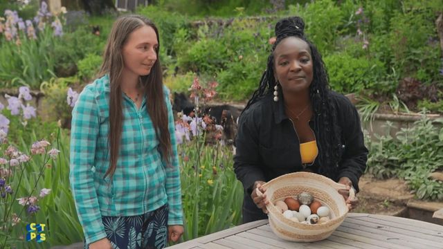 Vignette du programme télé C'est toujours pas sorcier