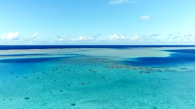 Vignette du programme télé Océania, les gardiens de l'océan